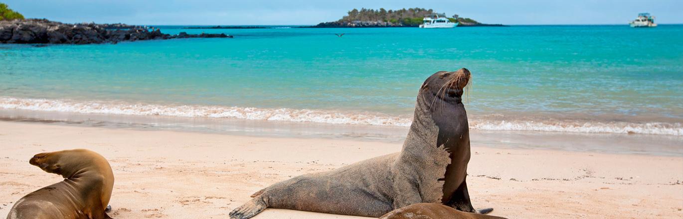 Galápagos