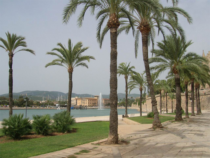 Palma de Mallorca 