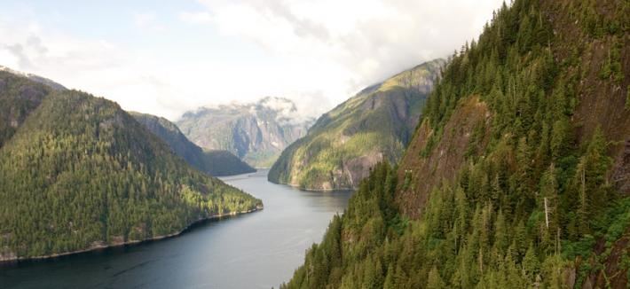 Fiordo Tracy Arm