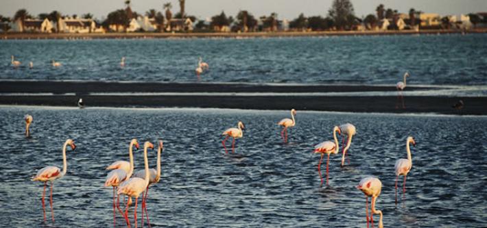 Walvis Bay