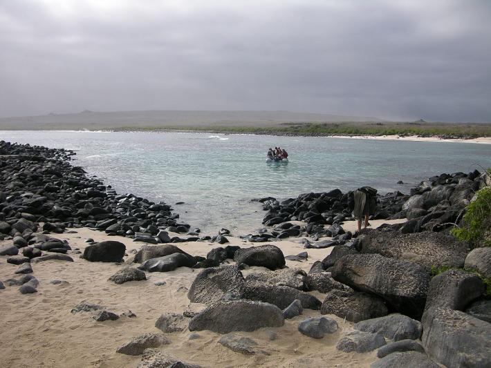 Punta Suárez(Española)