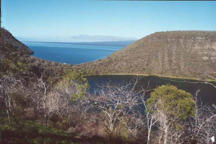 Caleta Tagus(Isabela)