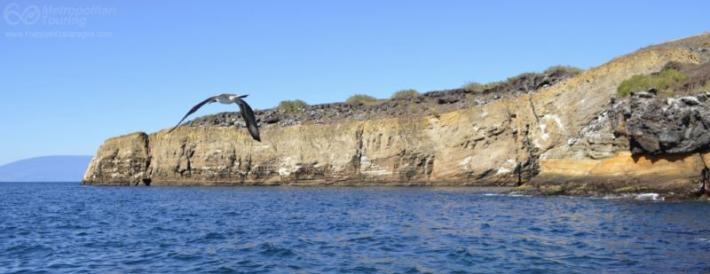 Punta Vicente Roca(Isabela)